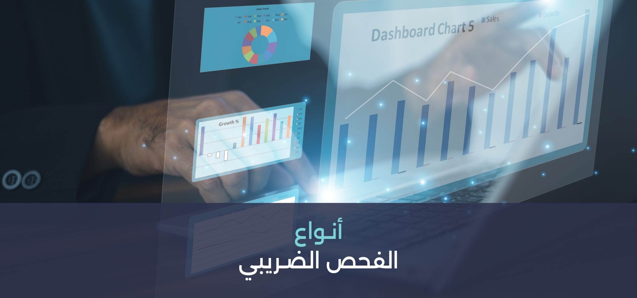 أنواع الفحص الضريبي