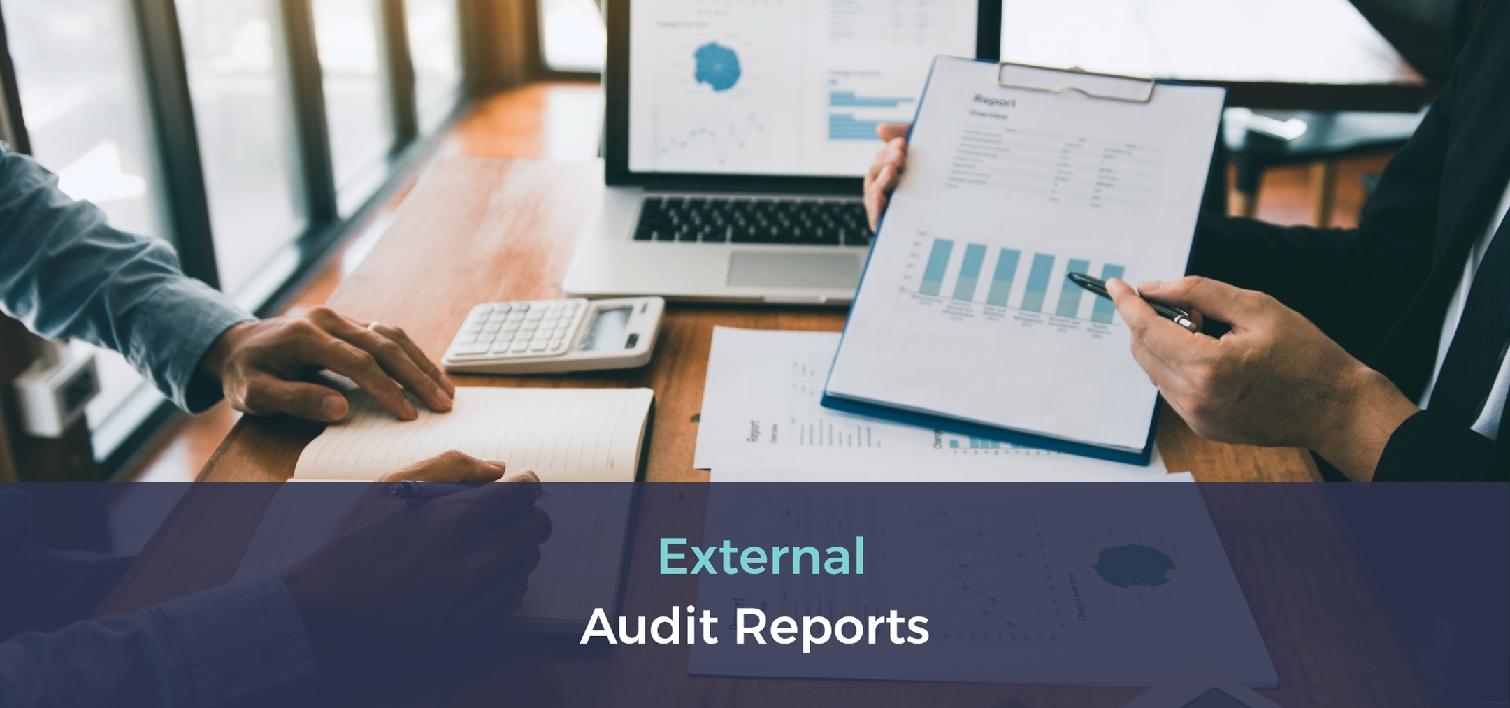external audit reports