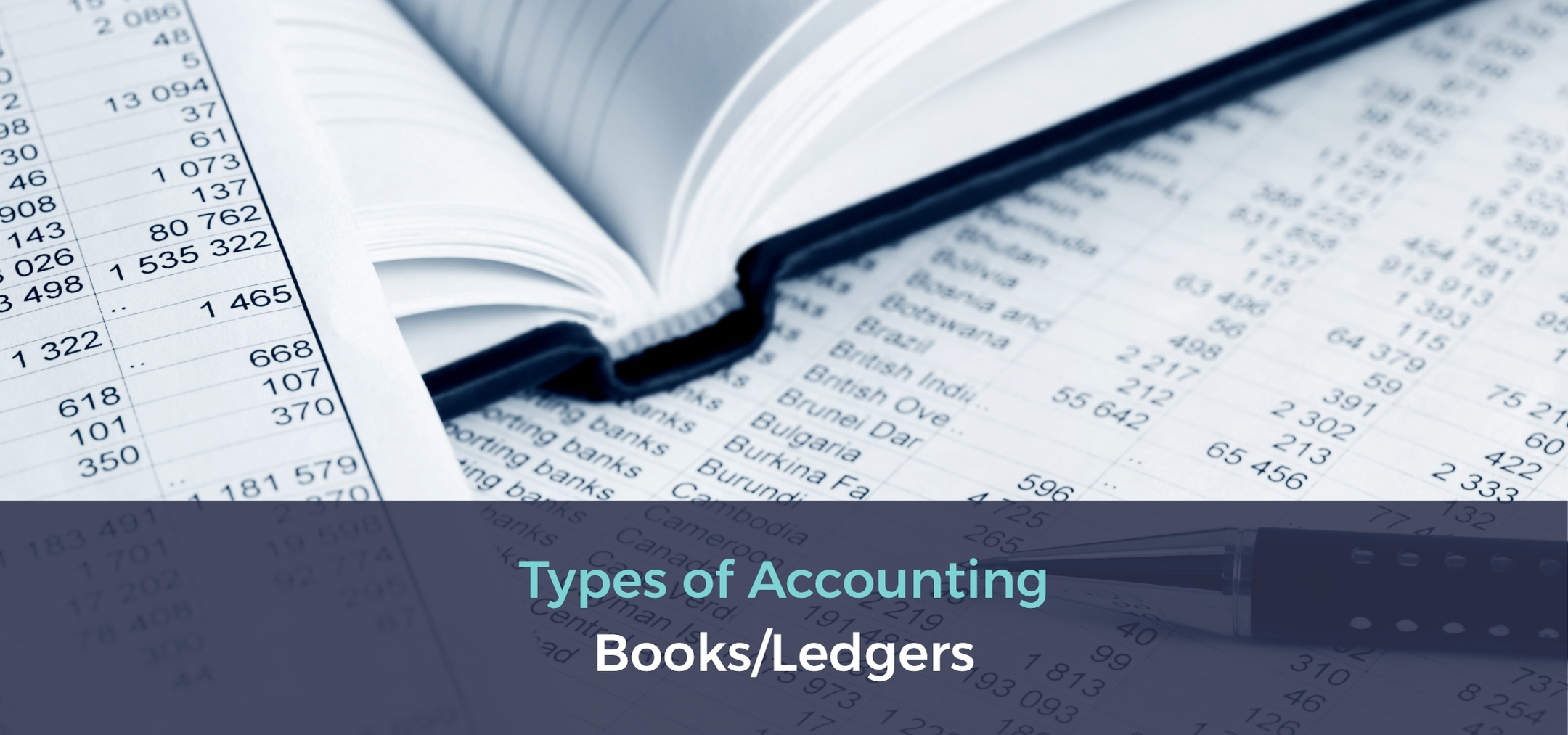 types of accounting books/ledgers