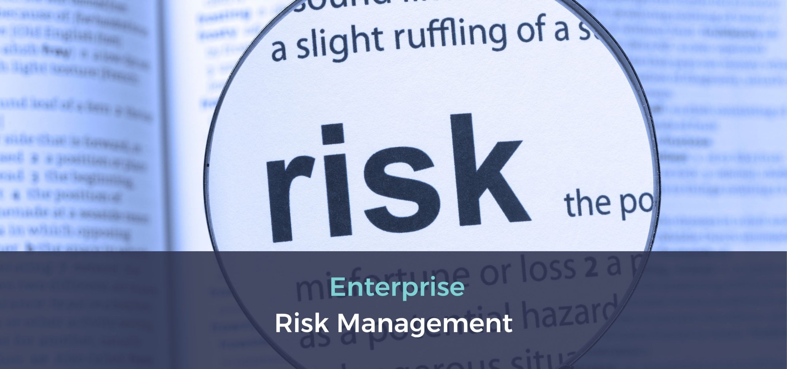 Enterprise Risk Management